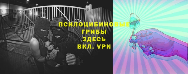 гашик Балабаново
