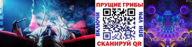 Галлюциногенные грибы Cubensis  сколько стоит  Петров Вал 